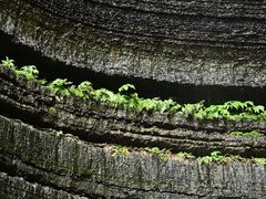 -梭布垭石林景区