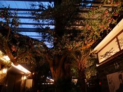 -云境生态园(红谷滩店)