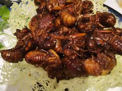 -蔡田福佛跳墙(官驿街店)