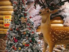 -卢布里西餐厅(满洲里店)