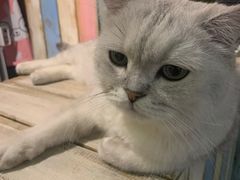 -小时光咖啡馆(开森度假森林店)