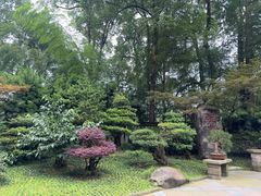 -南山植物园