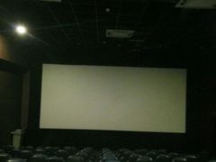 -汉阳天河电影城(王家湾店)