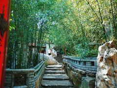 -老张烤羊(王哥庄店)