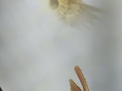 -徽三说·土徽菜·中国徽菜连锁品牌(一中店)