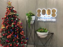 -八佰伴8008星级形象店