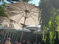 -Fern Forest Cafe