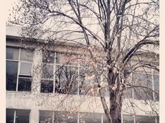 -交通大学（闵行校区）-第二餐饮大楼
