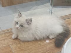 -狗道宠物(常熟印象城店)