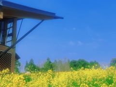 -中国天府农业博览园