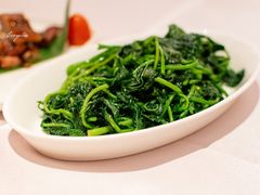 炝炒红薯尖-粗茶淡饭·汉口公馆(循礼门店)