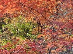 -玉渡山自然风景区