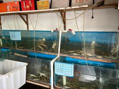 -小陆莲花蟹园农家乐(莲花岛店)