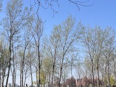 -汉长安城未央宫国家考古遗址公园