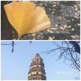 苏州旅行 | 打卡这3个知名景点攻略