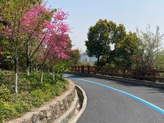 -杭州半山国家森林公园