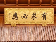 -深圳仙湖植物园