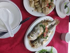 -蛇口康乐快餐鱼仔档(翠苑小区店)