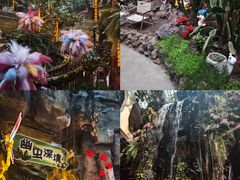 -正佳雨林生态植物园