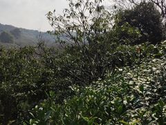 -缥缈峰景区