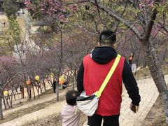 -世间香境·七溪地