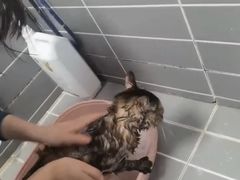 -嘉馨宠物医院·CT影像转诊·心脏科·犬猫全科诊疗中心(下沙大学城院区)