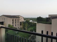 -上海崇明金茂凯悦酒店