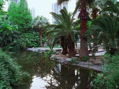 -苏州河梦清园环保主题公园