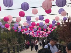 -合肥三国新城遗址公园