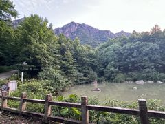 -莲峰云海景区
