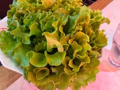 -杨记齐齐哈尔烤肉(总店)