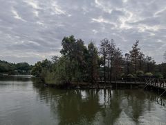 -海珠湖公园