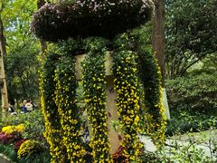 -杭州植物园