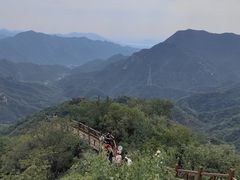 -大岭沟猕猴桃谷风景区
