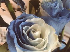 -ROSEONLY诺誓(青岛万象城店)