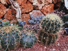 -上海辰山植物园