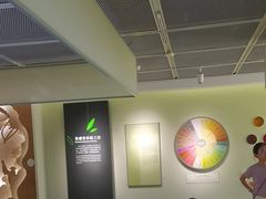 -中国茶叶博物馆(双峰馆区)
