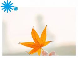 点击看大图 -Oasis Beauty水磨坊科技美肤中心