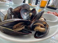 白灼鲜青口-众味海鲜大排档·活海鲜·潮汕味(南澳店)