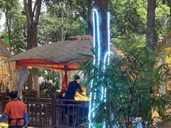 -二荆条·蜀鲜汇城市森林火锅