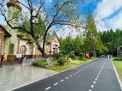 -东平国家森林公园