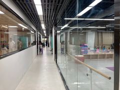 -舞蕾舞蹈(特长生校区)