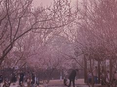 -三里河公园