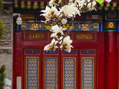 -西安市广仁寺