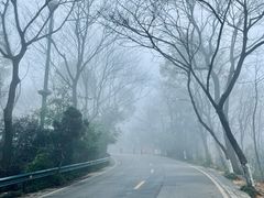 -岳麓山风景名胜区