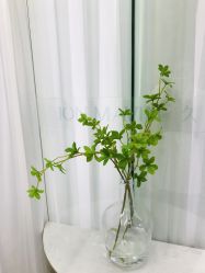 -久匠半永久纹眉