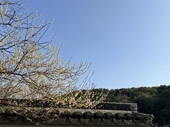-无锡梅园公园