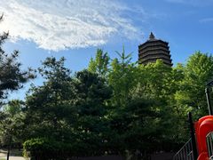 -玲珑塔公园