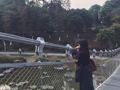 -东莞植物园