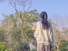 -飞凤山奥体公园